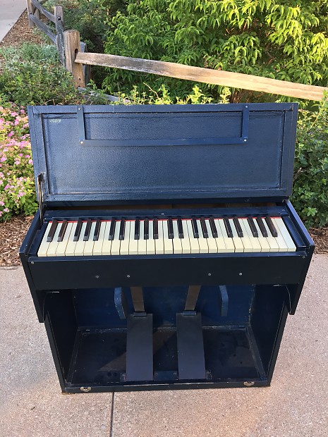 Portable reed deals organ