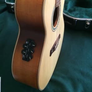 Ibanez Vine acoustic-electric solid wood beauty image 10