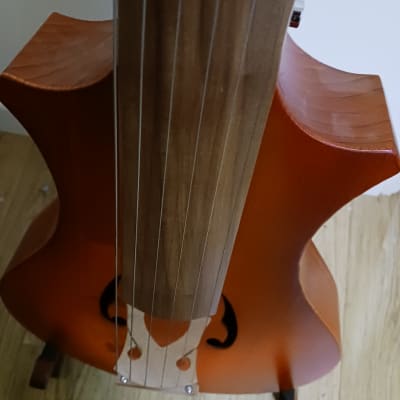 Philippe Berne 'Aperggione' 6 string guitarviol/cello 2011 - rosewood, spruce, maple image 16