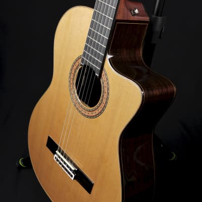 Guild GN-5NAT Classical Nylon Acoustic / Electric Solid Wood Cedar/Rosewood Guitar w/ OHSC image 5