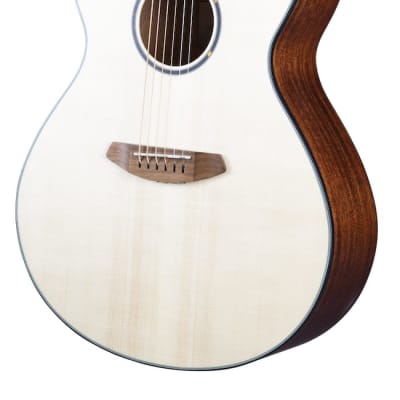 Breedlove Discovery S Concerto European-African mahogany image 2