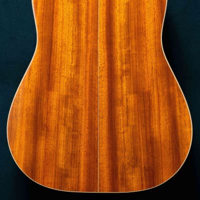 Furch - Yellow Plus - Dreadnought - Spruce Top - Paduck B/S - Hiscox OHSC image 4