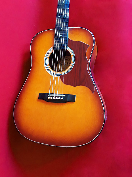 Global top acoustic guitar