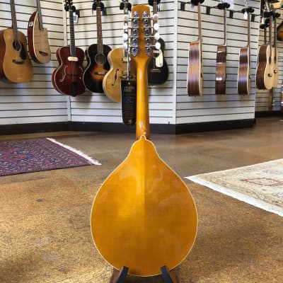 Kentucky KM-272 Deluxe Oval Hole A-Style Spruce/Maple Mandolin Transparent Amber w/Padded Gig Bag image 6