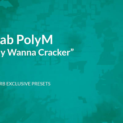XILS-Lab PolyM | CPEN - Poly Wanna Cracker - Reverb Exclusive Presets image 1