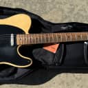 Danocaster Single Cut