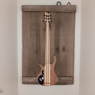 Schecter Diamond Riot-6 6-String Electric Bass w/ EMG-45HZ & Hard Case Used image 5