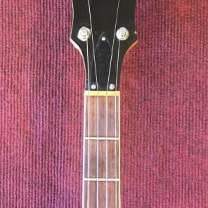 Fender Allegro 5 String Banjo 1967-9 Sunburst image 2