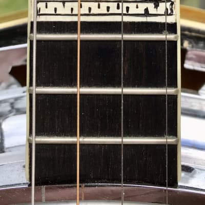 Vega Moderne Tenor Banjo image 6