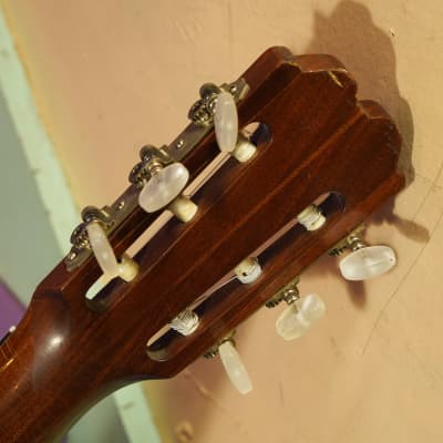 1960s Hagstrom (Bjarton) Senorita Classical Guitar (VIDEO! Fresh Work, Ready) image 11
