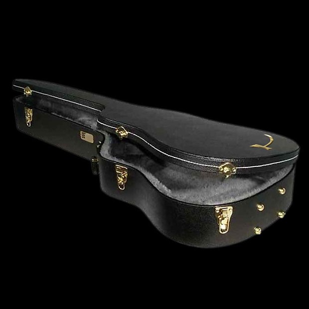 Tanglewood guitar case sale