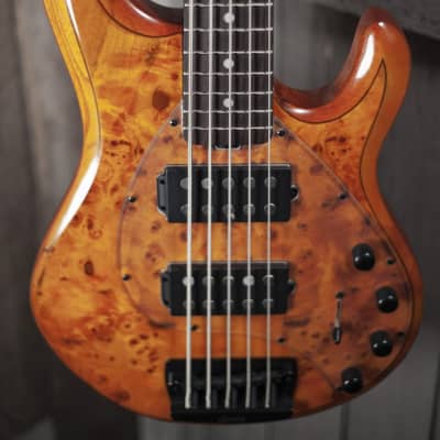 Sterling RAY35HH Electric Bass Guitar 5 String in Amber RAY35HHPB-AM- image 4