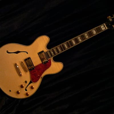 KARERA 335-Style Semi-Hollow Body Electric Guitar *BEAUTIFUL with WARM-TONE & *FREE Hard-Shell Case!!! image 14