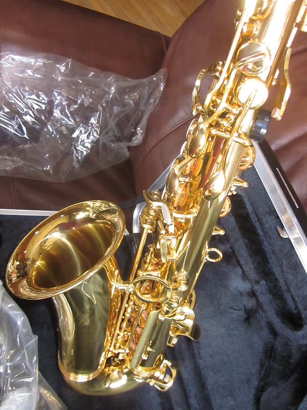Ravel by Gemeinhardt RGA202 Student Alto Saxophone Gold Reverb