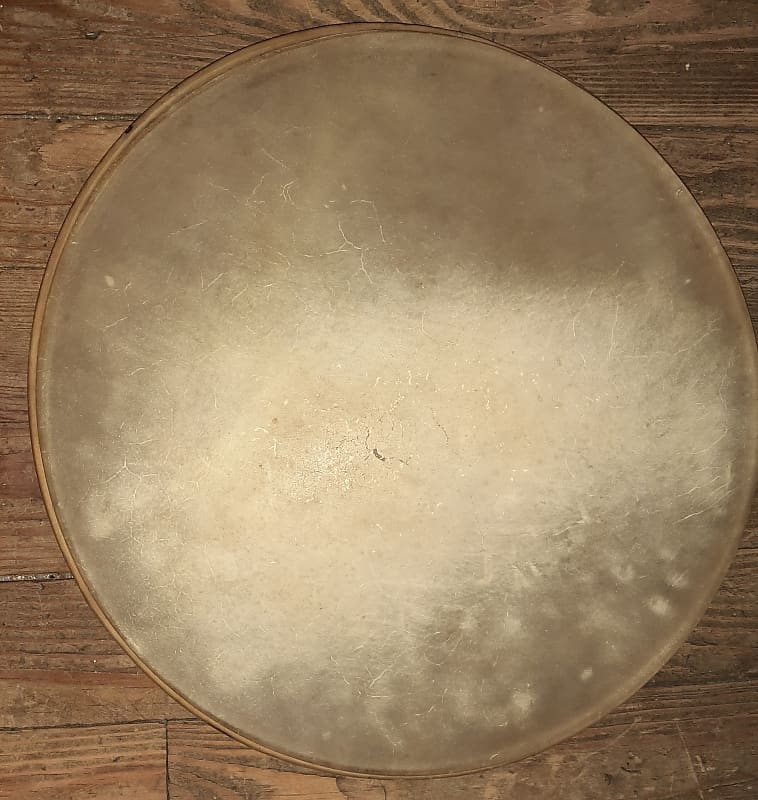 Vintage Calf Skin Drum Head 16 Inch Slingerland 16 Inch Reverb