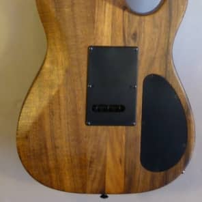 Carvin TI60L  Natural image 2