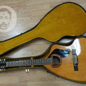 Giannini AWKS-12 12 String Acoustic guitar w/ OHSC image 13
