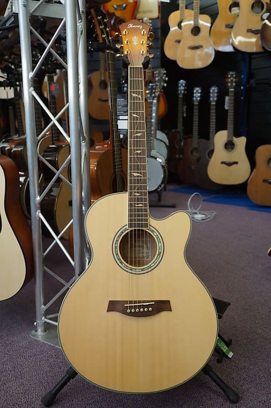 Ibanez AEL20E / AEL40SEジャンク　ケース付 Ibanez AEL20E / AEL40SEジャンク ケース付