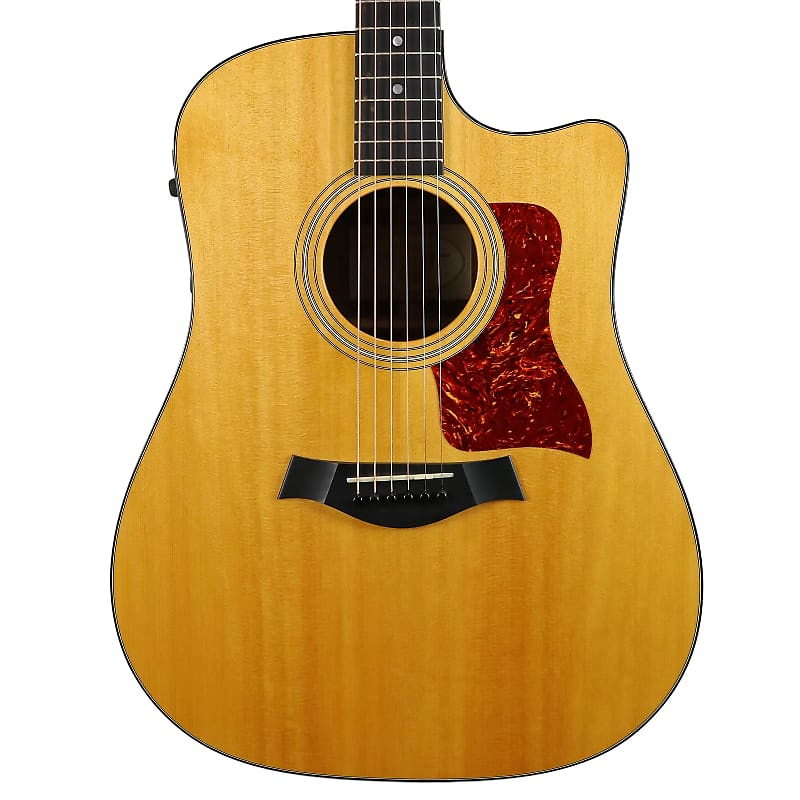 Taylor 310ce with Fishman Electronics image 2