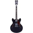 D'Angelico PREMIER DC DAPDCBLFCS Double Cutaway w/ stop-bar tailpiece, Black Flake w/Gig Bag, New, Free Shipping