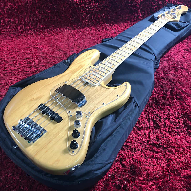 Electric bass ATELIER Z M265 soft case 5 string active