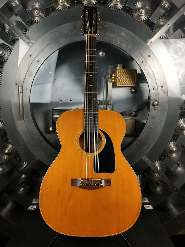 Takamine Gakki Elite 12-String Acoustic w/ Gig Bag image 1