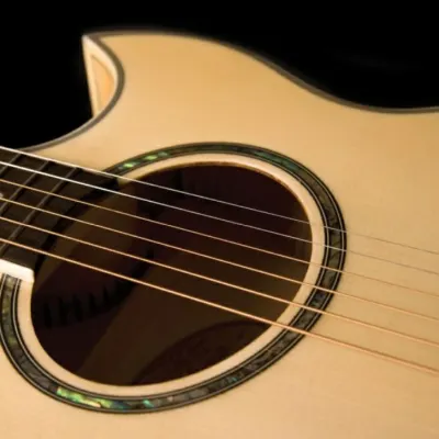 Washburn EA20 Festival Series Cutaway Acoustic Electric Guitar. Natural image 4