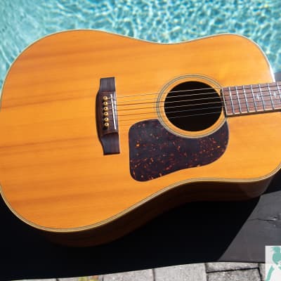 Takamine/Elite TW-30 Style D35 | Reverb