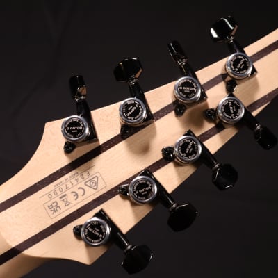 Ibanez RG5328LDK RG Prestige 8str Electric Guitar w/Case - Lightning Through A Dark 090 image 5