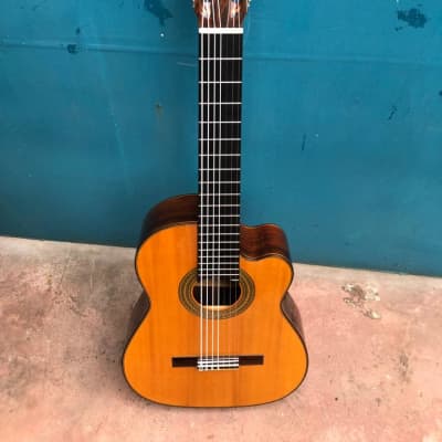 JB 7 string guitar cutaway nylon strings 2006 Reverb