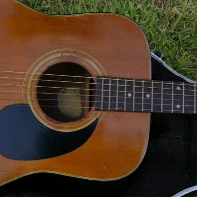 Trump Dreadnought with Vintage Case image 20
