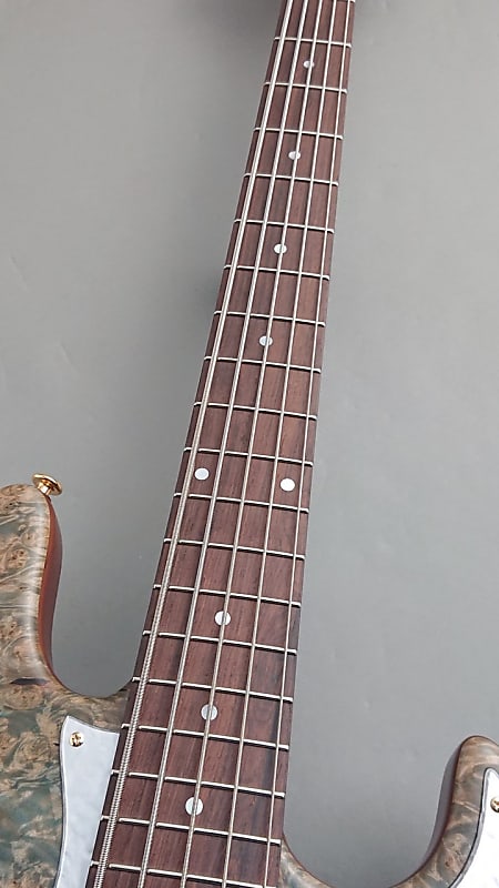 momose MJ・Five-BC-BURL-MAPLE WSE'22/NJ［GSB019］ | Reverb