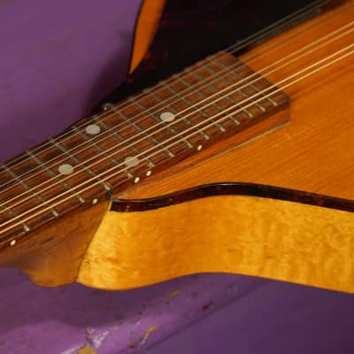 1940s Gibson Kalamazoo KMN-12 Oriole-style A-Style Archtop Mandolin (VIDEO! Fresh Work, Good to Go) image 9