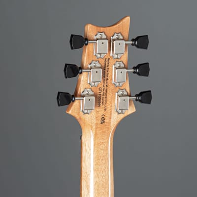 PRS SE Paul's Guitar Turquoise - Electric Guitar Bild 5