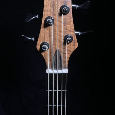 Fretless 5 string bass guitar image 5