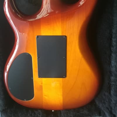 Carvin DC 90s  - Tiger Maple image 7