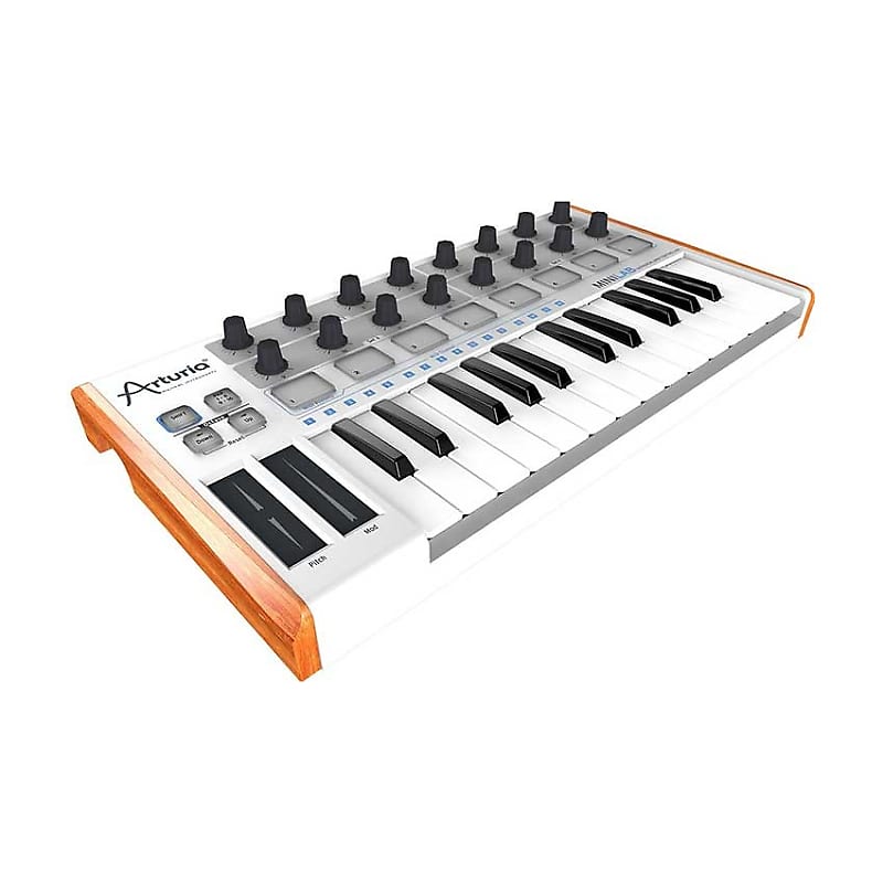 Arturia MiniLab 25-Key MIDI Controller image 2
