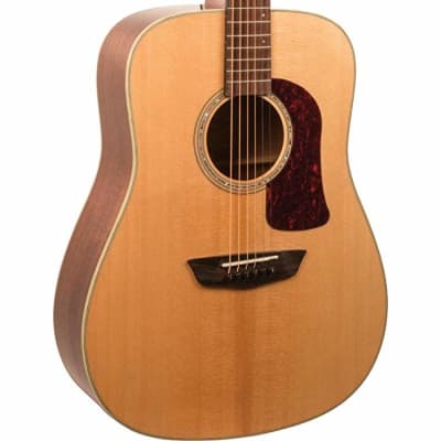 Washburn HD100SWK Heritage Series All Solid Wood Dreadnought 6-String Acoustic Guitar w/Hard Case image 1