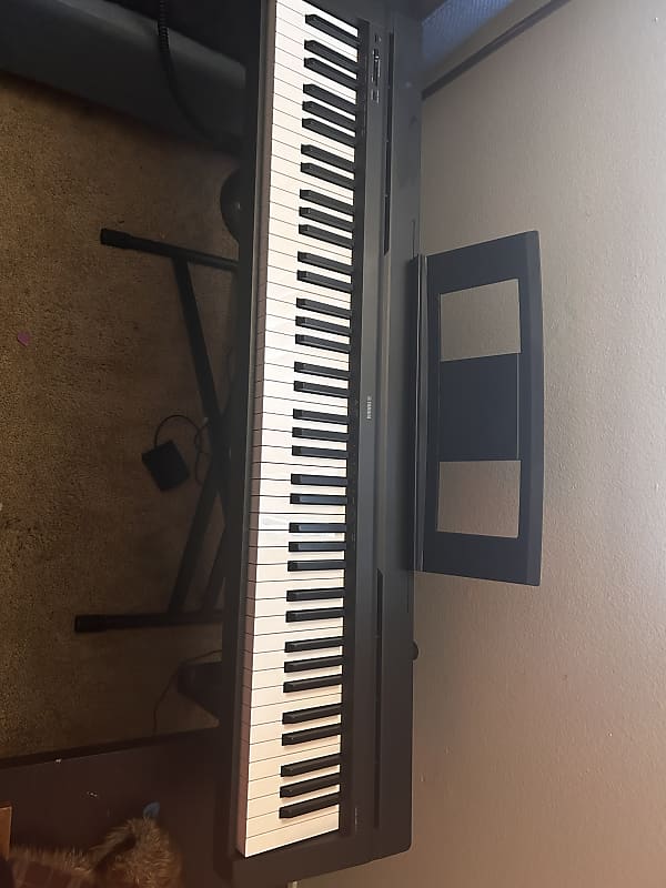 Yamaha P71b Weighted keys | Reverb