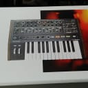 Arturia MiniBrute 2 25-Key Synthesizer  Black