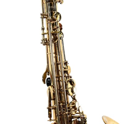 Elkhardt Tenorsax Super Deluxe image 5