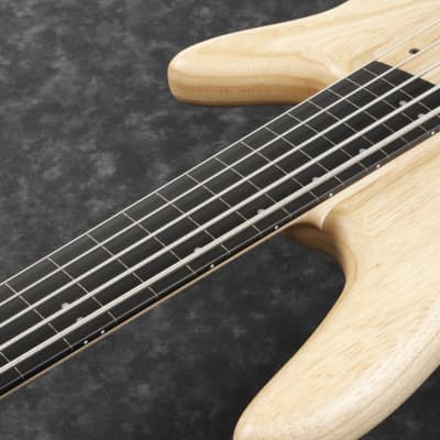 Ibanez GWB1005-NTF Gary Willis Signature E-Bass Made in Japan 5 String Fretless Natural Flat image 7