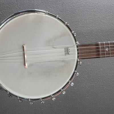Gold Tone MM-150LN Maple Mountain Openback Long Neck Banjo, Recent for sale