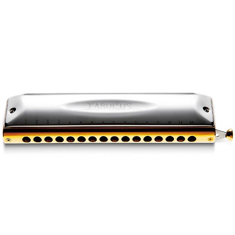 Blueberry deals chromatic harmonica