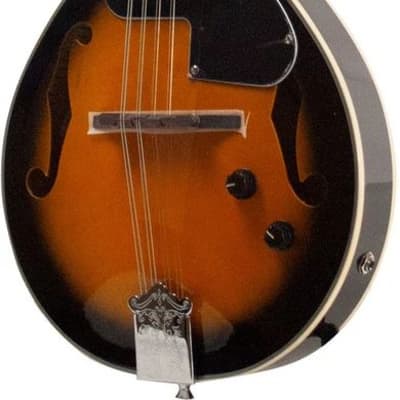 Mandolin Fred Meyer Maker 1900 Philadelphia Pa. Reverb Canada