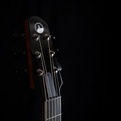 Skytop "Dark Side of the Moon" Acoustic Guitar image 5