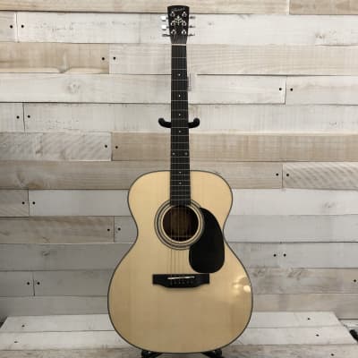 Bristol BM-16 000 Spruce/Mahogany Acoustic Guitar w/Padded Gig Bag image 4