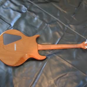 Hamer Prototype 1981 Natural with case image 3