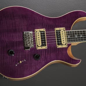 Paul Reed Smith SE Custom 24 2018 Amethyst | Reverb
