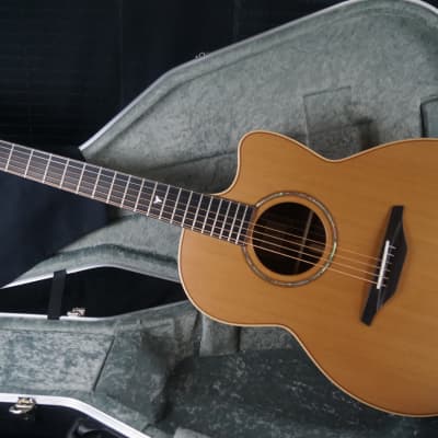Brand New McIlroy A35c Western Red Cedar / Indian Rosewood Cutaway Auditorium Sized Acoustic image 1